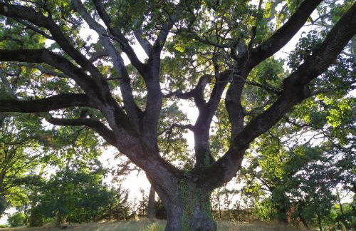 Agriturismo La Villetta - Foto 16