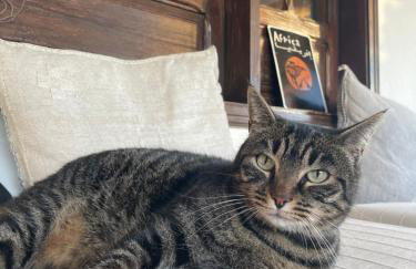 Full Relaxation - Private Villa - Sea View - Stunning Garden - 2 Terraces - 2 Bedrooms - Wifi - Parking - Washing Machine - Foto 31