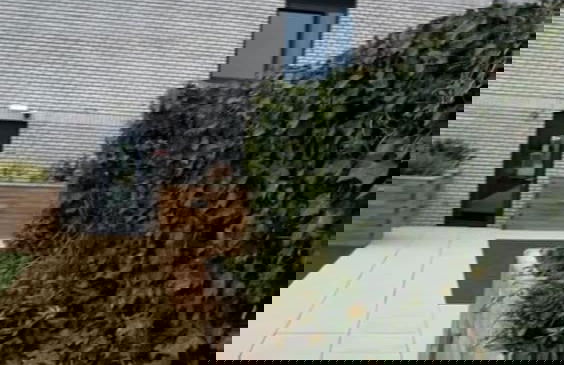 Cozy 1 bed Apartmrnt Luton Airport - Foto 20