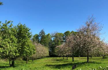 The Calf Cotts - Foto 21