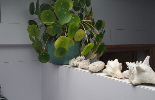 Jolie maison en bois climatisée Proche Lac&Océan - Foto 50