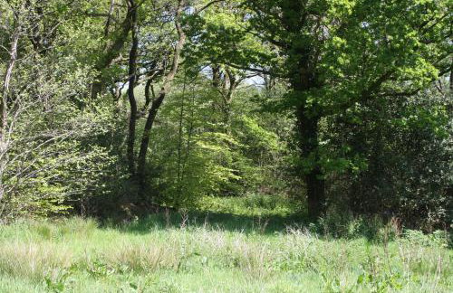 Buzzard's Nest Glamping Walnut - Foto 12