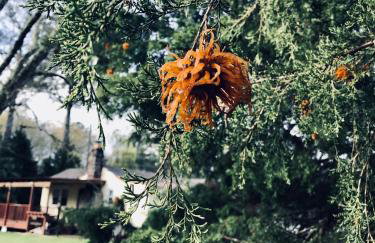 Nice and Cozy - Foto 17