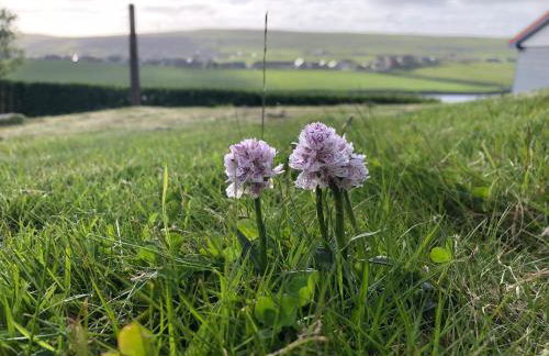 Easterhoull Chalets - Foto 80