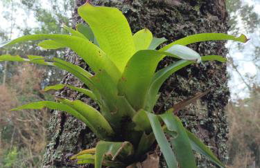 Quinta dos Ventos Chalé - Foto 32