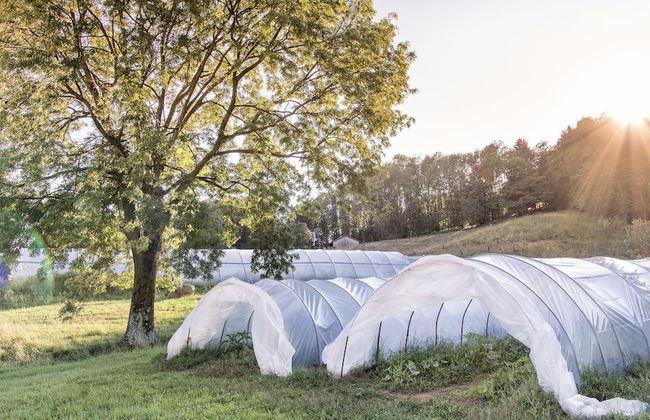 Cascina il Faggio - Photo 20
