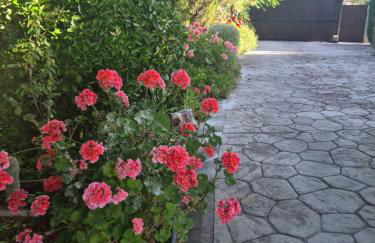 La casita encantada - Foto 15