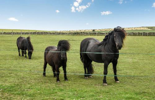 Street House Farm Cottage - Foto 24