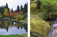 Arboretum Escape - Foto 17