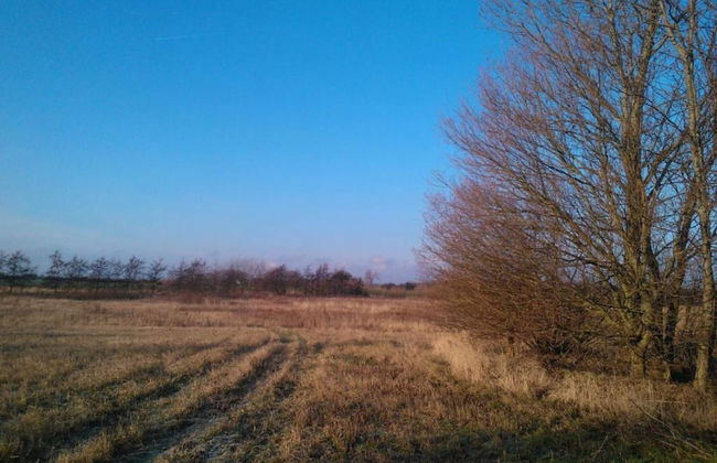 Tranquil Seaside Haven-by Traum - Foto 12