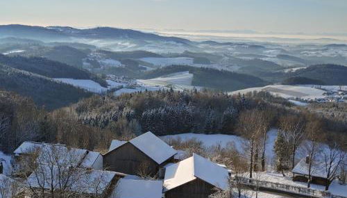 Traumblick Bayerischer Wald, Pool & Sauna, Getränke, Klimaanlage - Foto 3