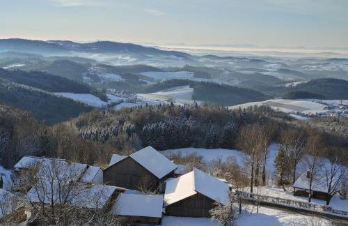Traumblick Bayerischer Wald, Pool & Sauna, Getränke, Klimaanlage - Foto 3