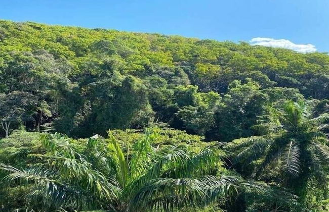 Apto alto padrão Fiji - Foto 23