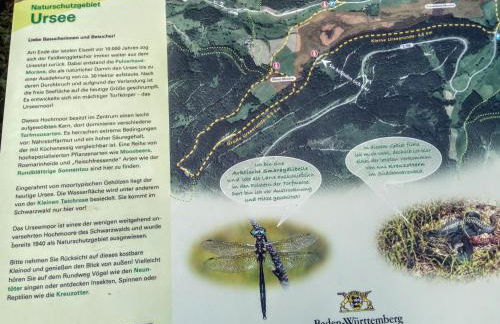 Ferienwohnung Waldrast - Photo 14