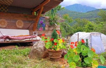 Bergeriedekakisse Mercantour - Foto 2