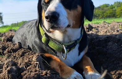 Heidehof Kuppendorf - Foto 9