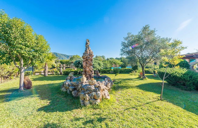 Hibiscus in Sa Pobla - Foto 7