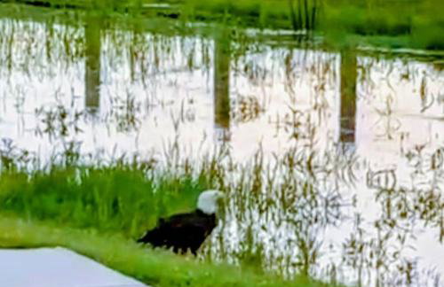 Love Creek Retreat - Foto 42