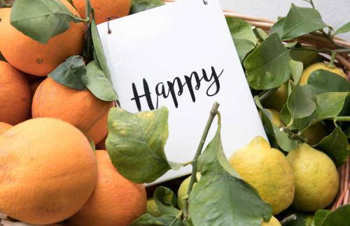 Villa Edoné Frontemare - Foto 36