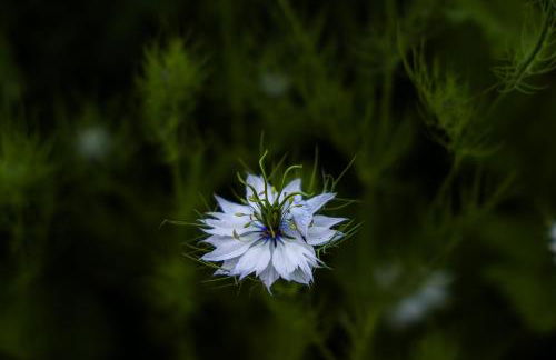 Helle 4 ZKB mit Balkon in Wittlich - Foto 19
