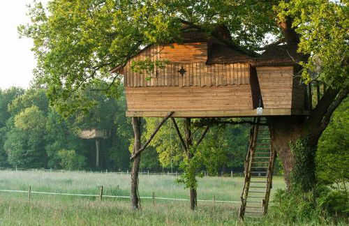 Dihan Evasion - Foto 29