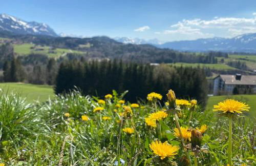 Penthouse im Dachgeschoss - Foto 31