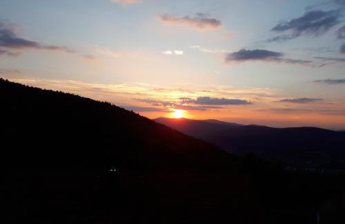 Ferienapartment 38 Sonnenwald - Foto 77