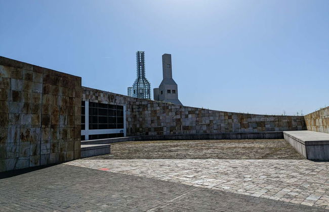 Tour della Ciudad de la Cultura, Pazo de Rivadulla e Colegiata del Sar - Foto 8