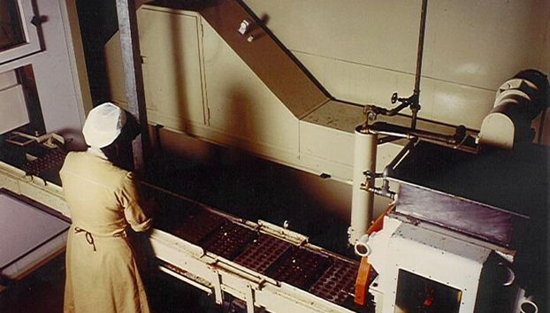 Willy Wonka in Turin A chocolate adventure - Photo 4