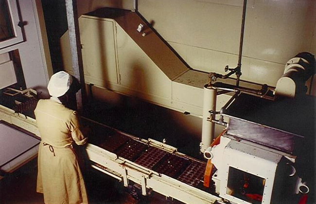 Willy Wonka in Turin A chocolate adventure - Photo 4