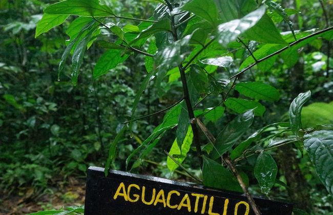 Oski Lodge - Foto 37