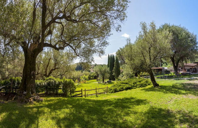 Pie' d'Ulivo - Foto 31