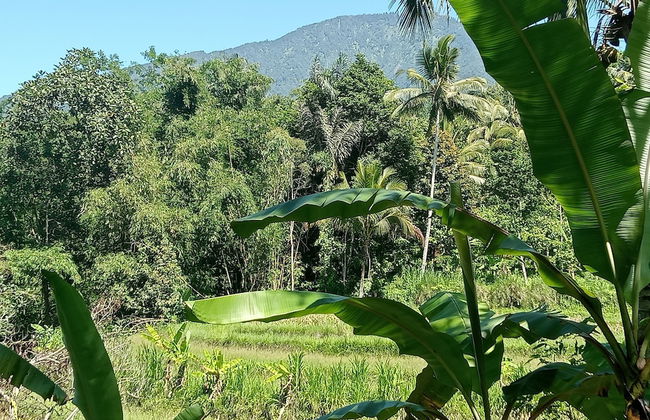 duegoal farmhouse - Photo 29