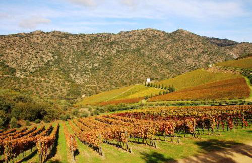 Douro Yacht Charter & Bungalows - Foto 41