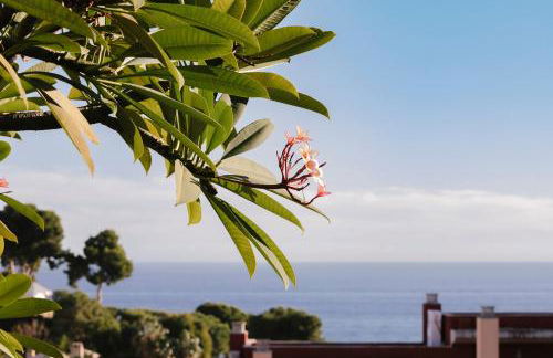 Hacienda Clavero Four Garden Apartment - Photo 30