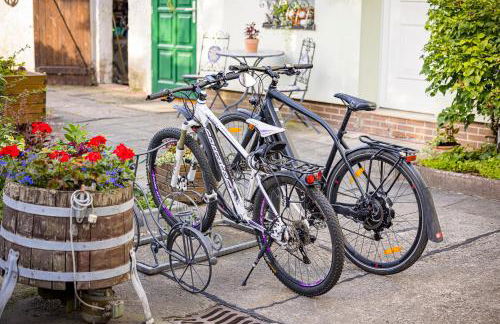 Pension Altsprucke - Foto 28