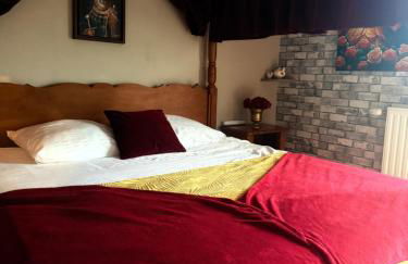 La Belle et le Nooki - Foto 12