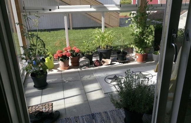 Pulpit Rock Family Apartment - Foto 9