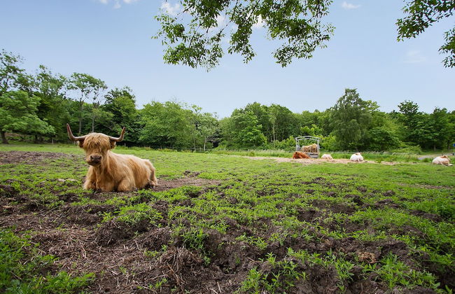 Lehnsgaard Ranch - Foto 32