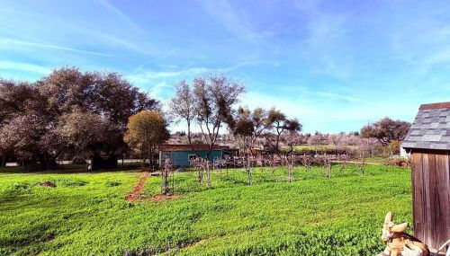 Hot Tub, Farm Chic Shingle Springs Birders Heaven - Foto 4