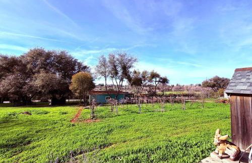 Hot Tub, Farm Chic Shingle Springs Birders Heaven - Foto 4