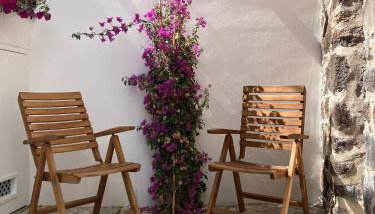 Zenia C - Foto 4