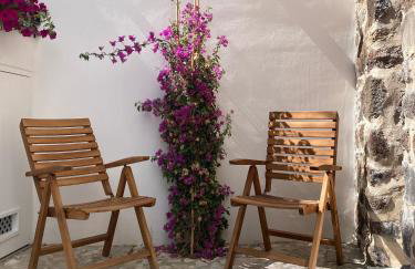 Zenia C - Foto 12
