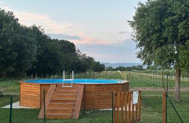 Alloggio Turistico Trasimeno II Castiglione Del Lago - Foto 43