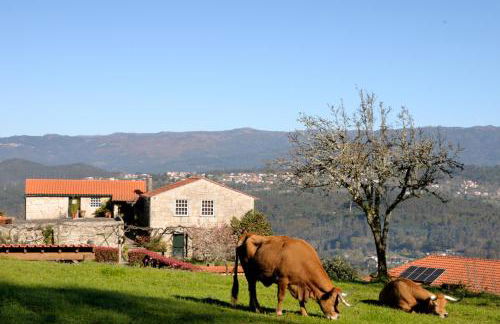 Quinta do Caritel - Foto 28