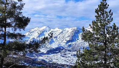 La TANIÈRE du LOUP - Photo 2