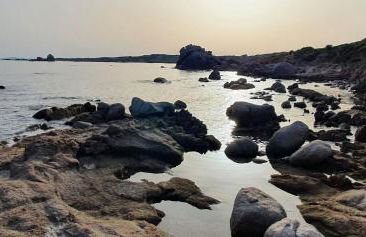 Villa Tramonti di Gallura - Photo 40