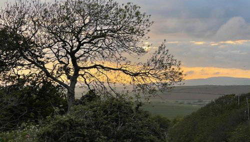 Poachers Hut 1-bed Cottage, Sleeps 2, Pet Friendly - Foto 5