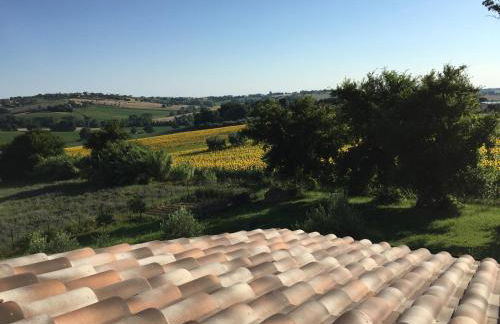 Agriturismo bio Verde Armonia - Photo 35