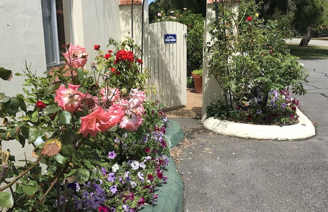 Havana Villas - Foto 39